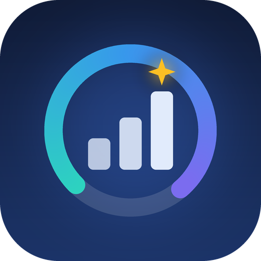 Executive Report