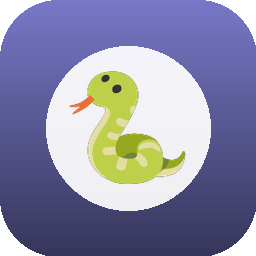 Server Python Demo